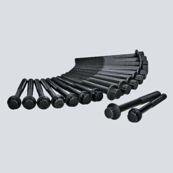 Mazda E2500 WLT Cylinder Head Bolts